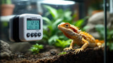 Terrarium Hygrometer zur präzisen Messung der Luftfeuchtigkeit im Terrarium