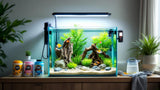 Aquarienzubehör für Aquarien – hochwertiges Zubehör für die Aquarienpflege
