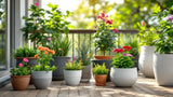 Außentöpfe für Garten und Balkon aus hochwertigem Material