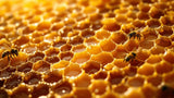 Bienenwachs Gewinnung: Imker kratzt frisches Bienenwachs von Honigwabe