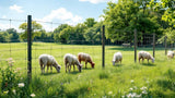 Elektrozaun-Netz für Weiden und Tiere, robustes elektrisches Zaunnetz zur sicheren Einzäunung