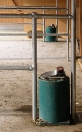 Tränkebecken Mod. 43 A-SIBIRIA mit Überhitzungsschutz-Thermostat