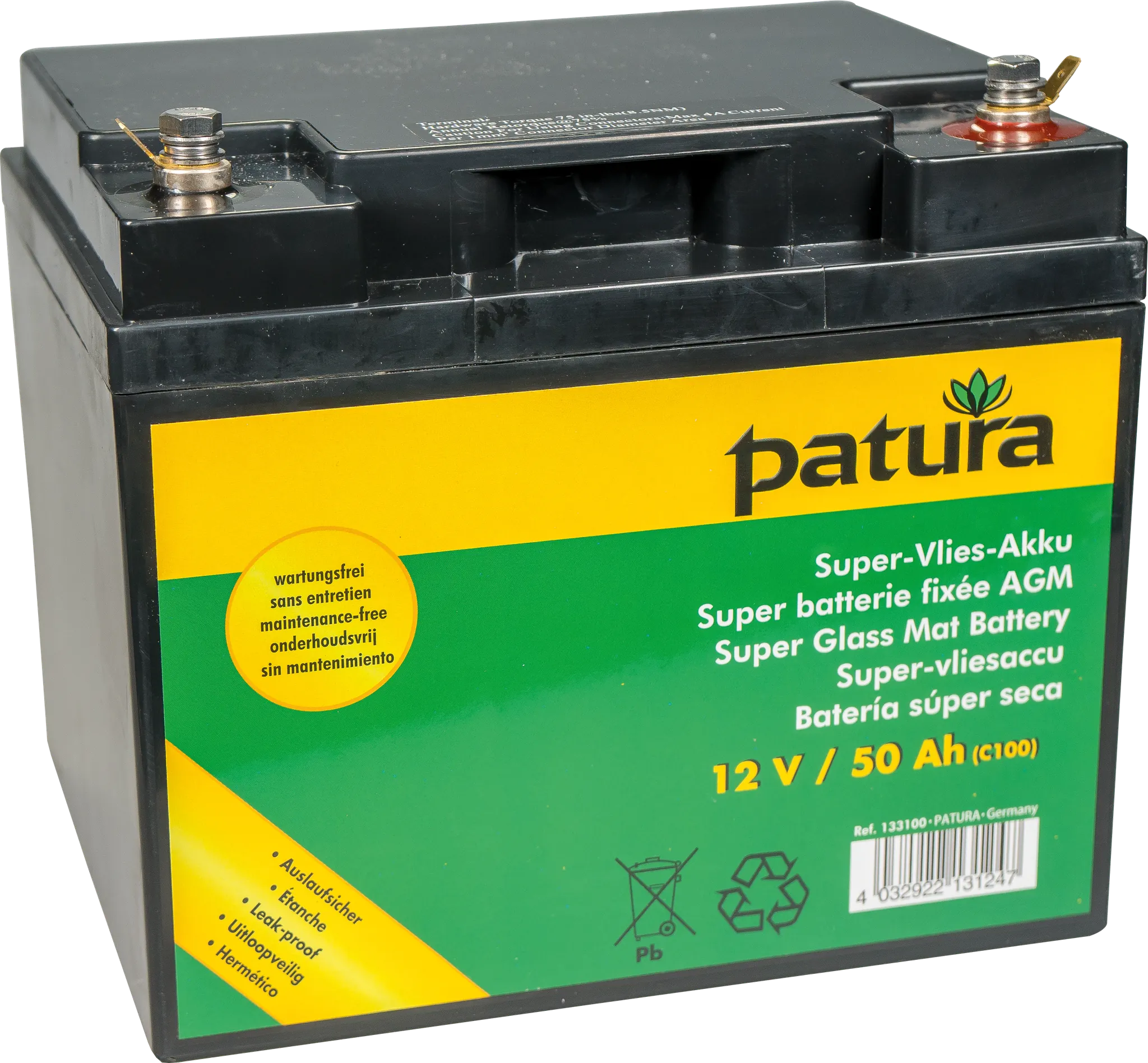 P2500 mit Sicherheitsbox, Erdstab, Super-Vlies-Akku 50 Ah und Solarmodul