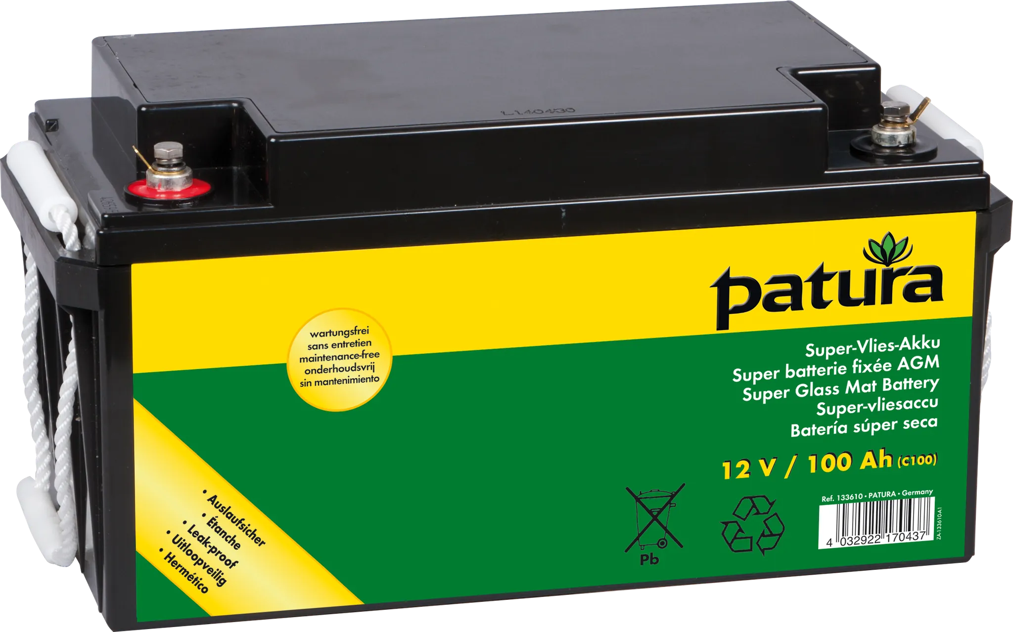 P4600 mit Sicherheitsbox, Erdstab, Super-Vlies-Akku 100 Ah und Solarmodul