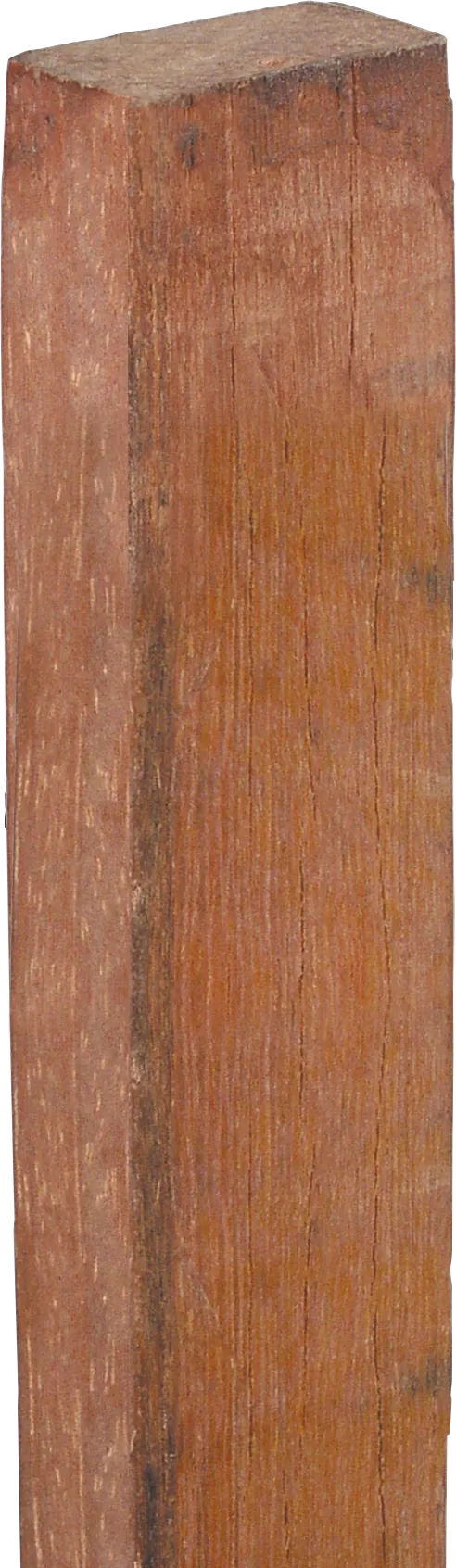 PATURA-Hartholz-Latte, isolierend, 1240 x 38 x 26 mm
