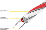 Tornado XL Litze, 200 m Rolle 8 Niro 0,20 mm, 3 Cu 0,30 mm, weiss-rot