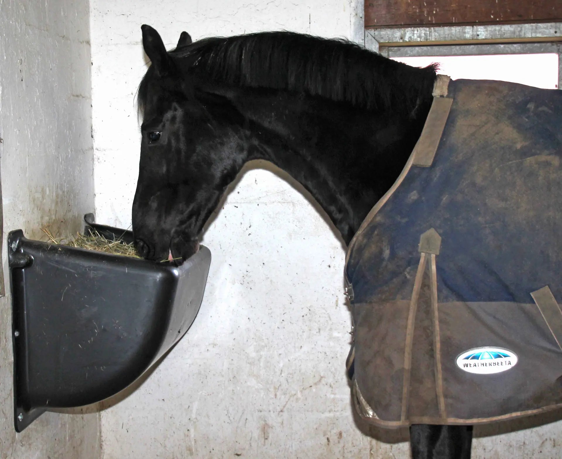 Heu Spender "Slow Feeder" mit Fressgitter, 140 Liter