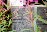 Standardplatte aus Recyclingmaterial