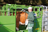 Behandlungsstand A5000