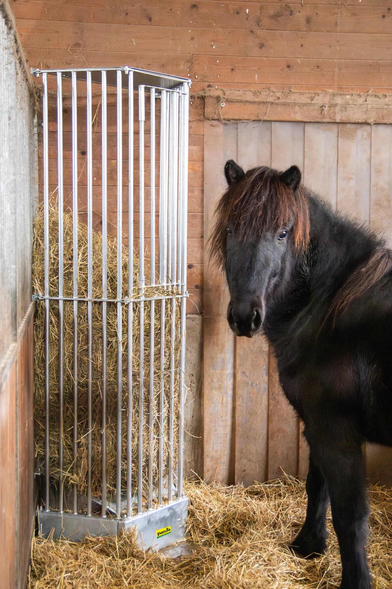 Wandraufe Variabel, Höhe 2,00 m