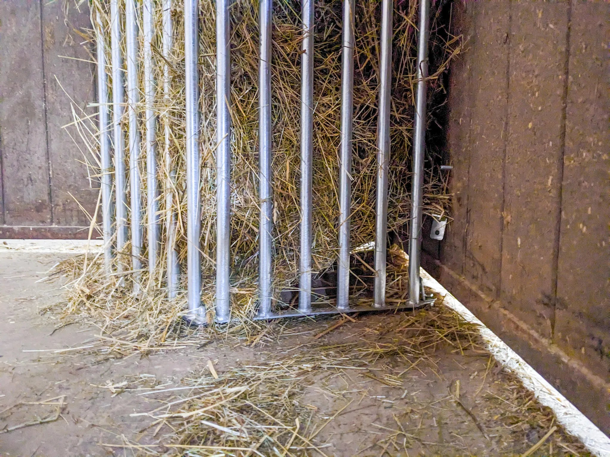 Wandraufe Variabel, Höhe 2,00 m