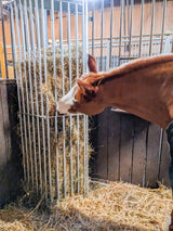 Wandraufe Variabel, Höhe 2,00 m