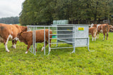 Kraftfutterautomat mit Kälberschlupf