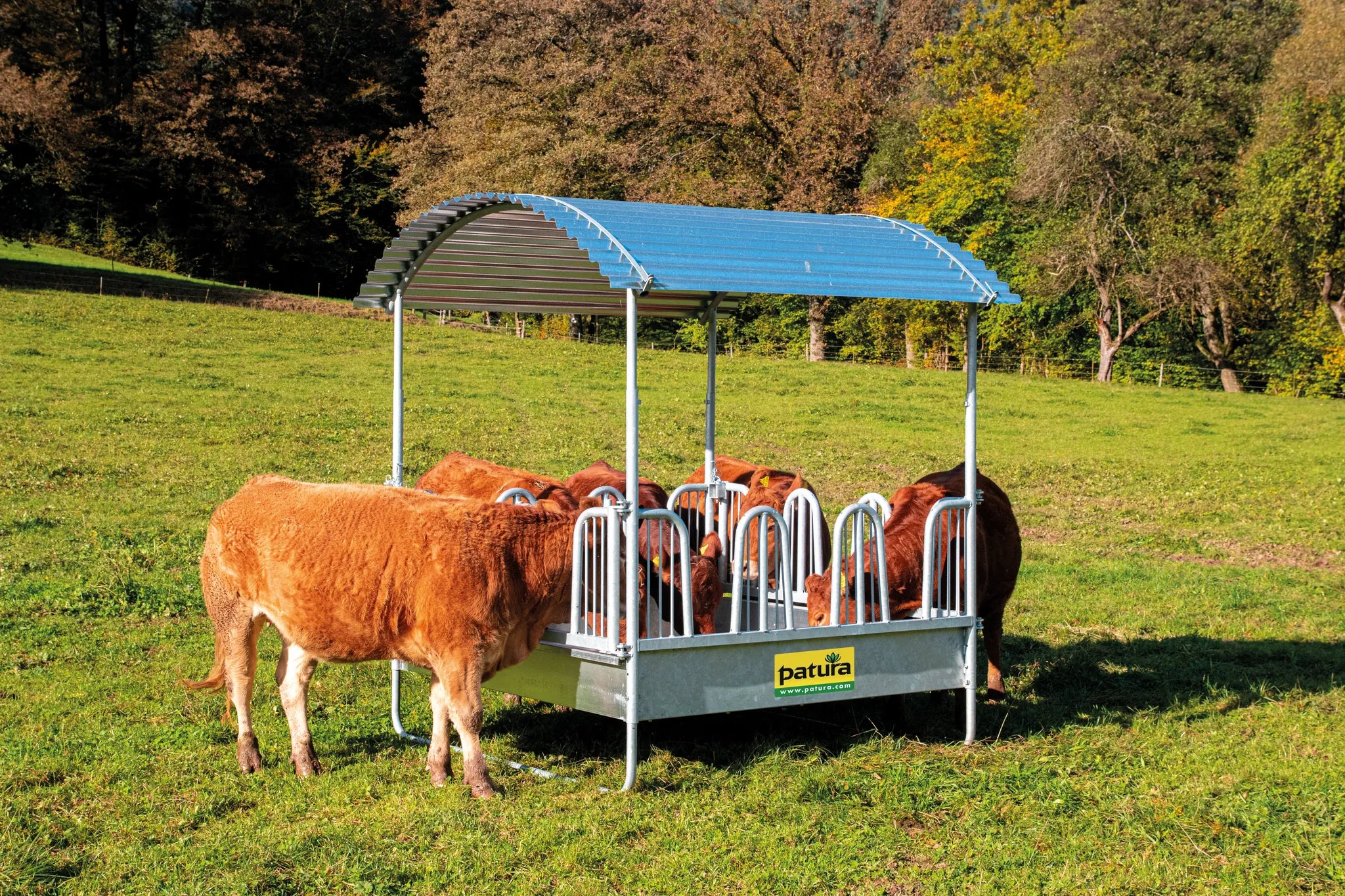 Compact-Viereckraufe 12 Fressplätze mit Sicherheits-Palisadenfressgittern