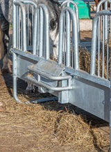 Compact-Viereckraufe 12 Fressplätze mit Sicherheits-Palisadenfressgittern