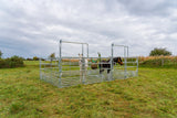 Sicherheits-Pferde-Panel mit Schiebetor 3,00 m, Höhe 2,50 m