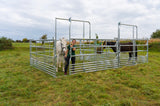 Sicherheits-Pferde-Panel mit Schiebetor 3,60 m, Höhe 2,50 m