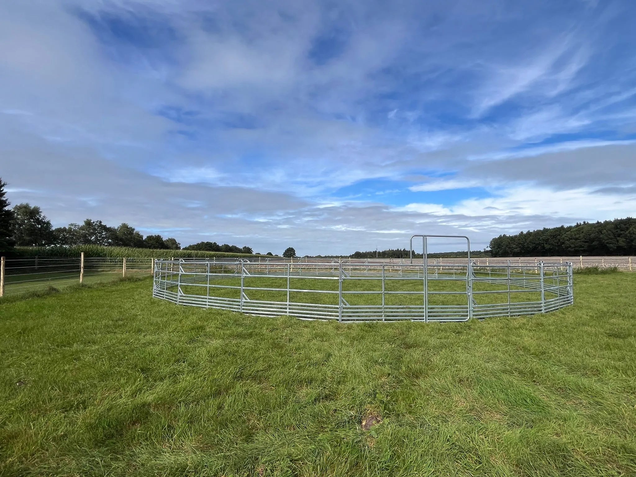 Roundpen d= 11 m mit Sicherheits-Pferde-Panels