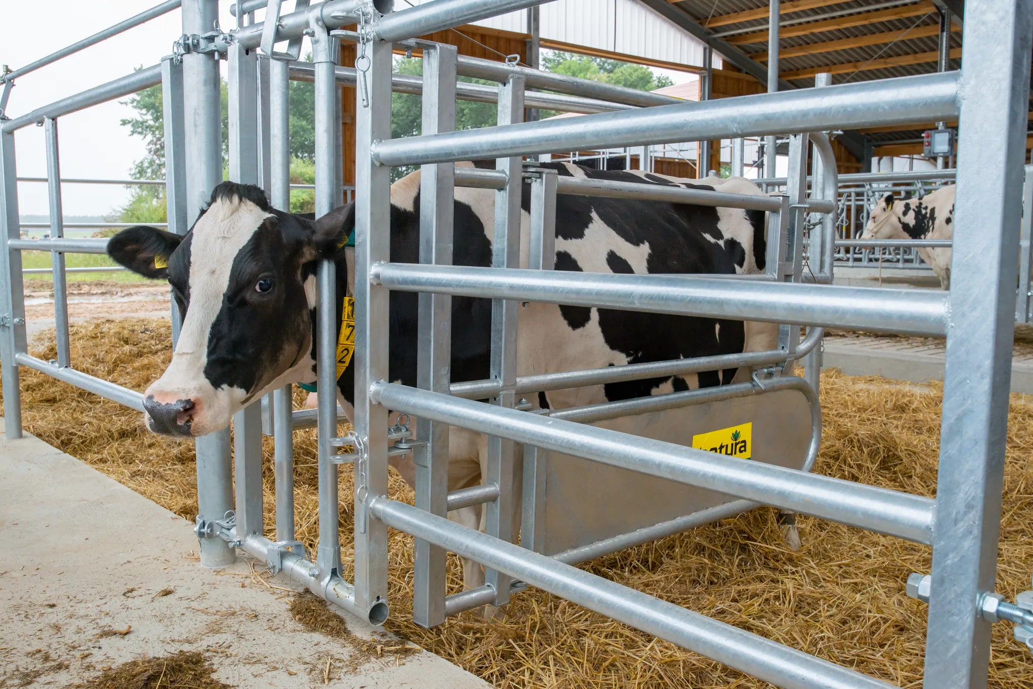 Fressgitter für Tierbehandlung