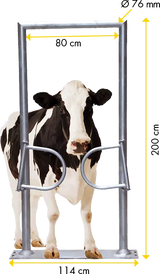 Ein-Wege-Tor, 2-flügelig, mit Rahmen