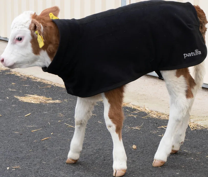 PATURA Kälberdecke Fleece Größe S Rückenlänge 60 cm