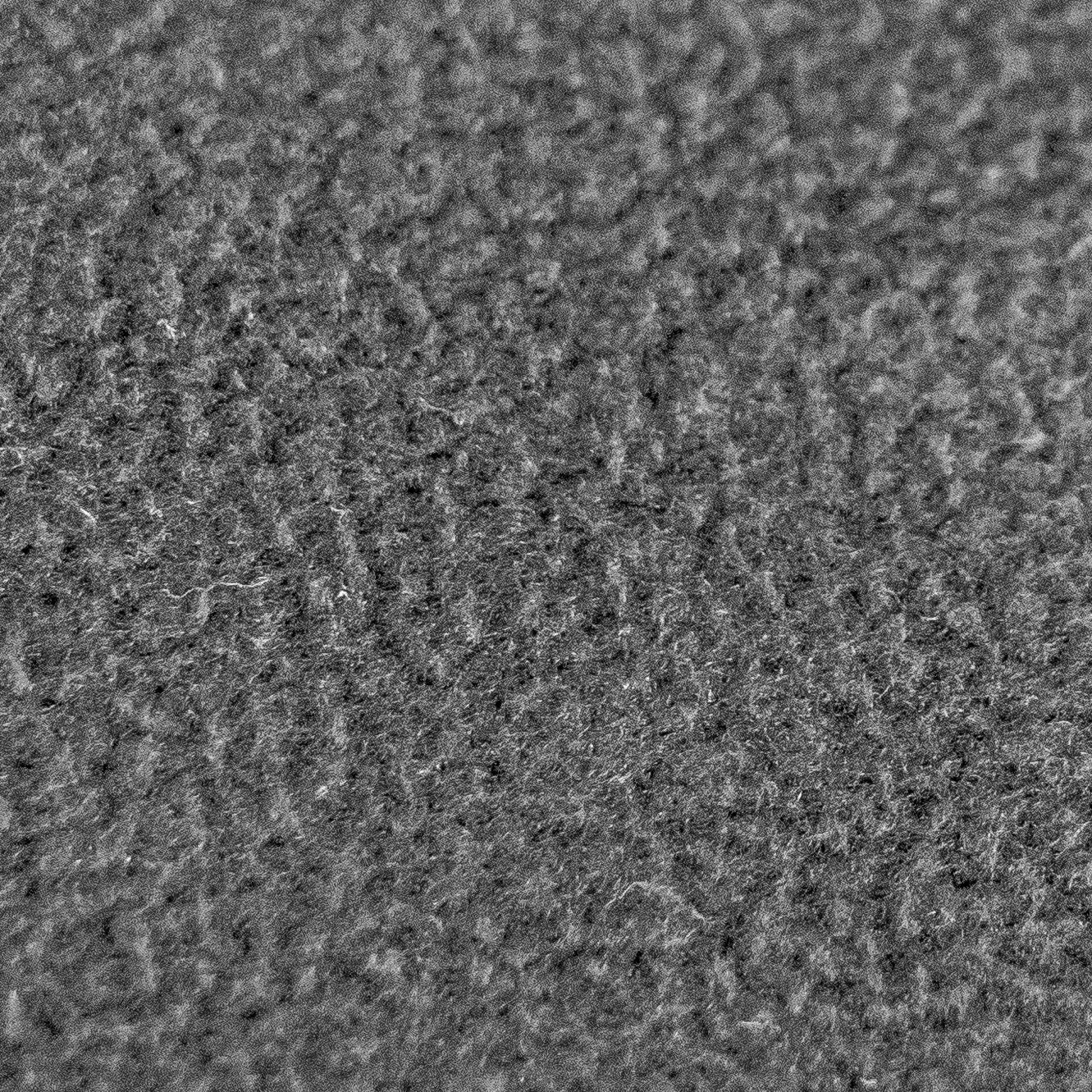 PATURA Kälberdecke Fleece Größe L Rückenlänge 75 cm