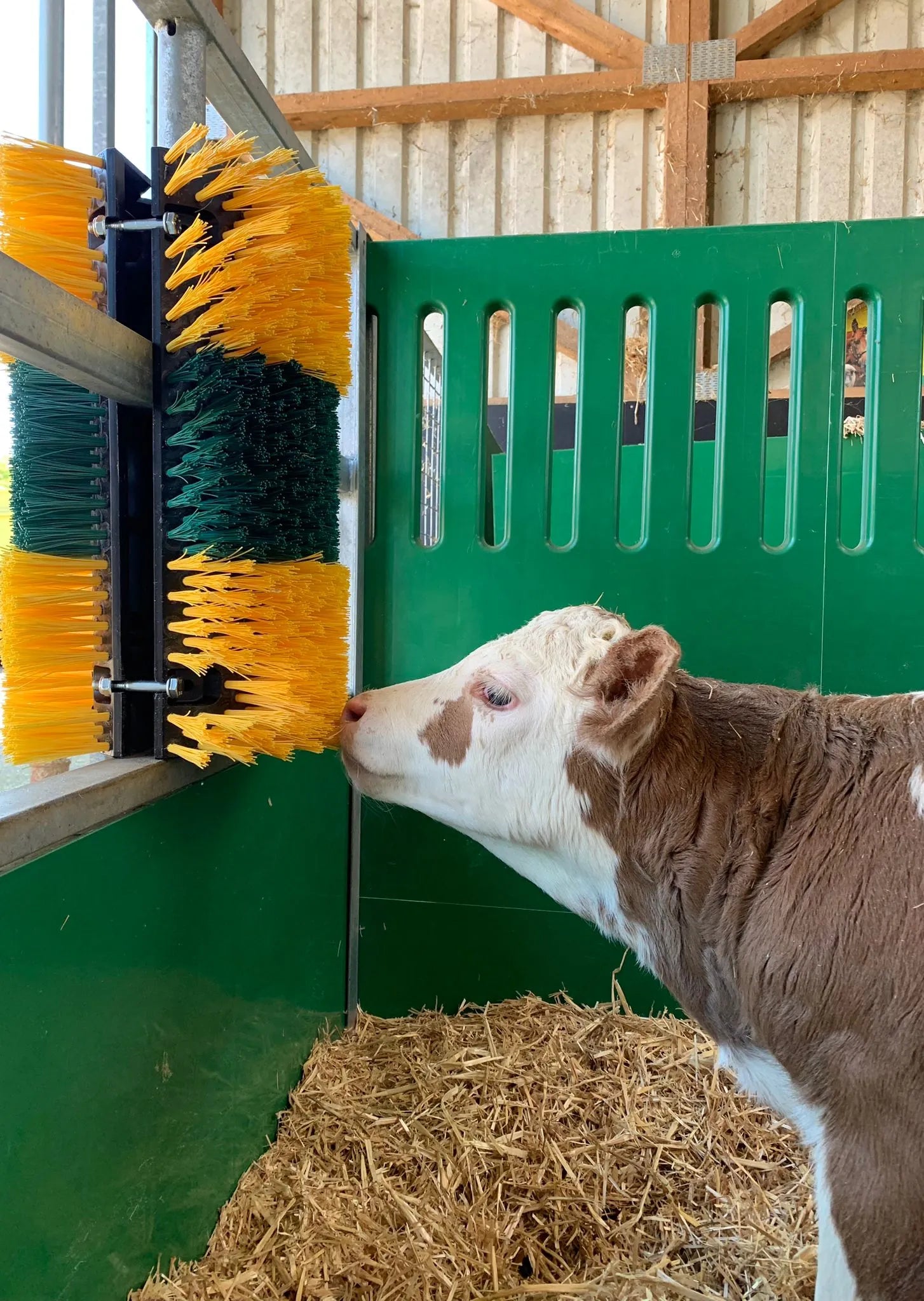 Kratzbürste Multifix für Wand- und Pfostenmontage