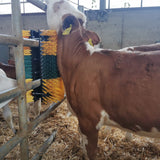 Kratzbürste Multifix für Wand- und Pfostenmontage