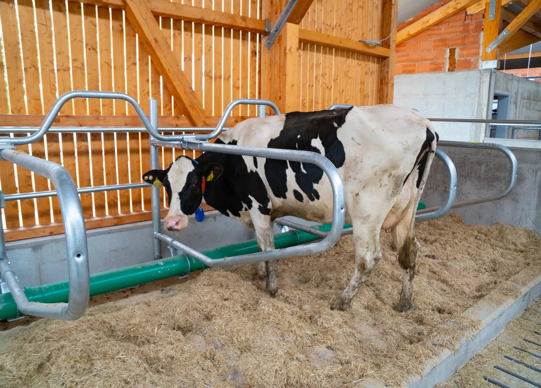 Gewelltes Nackenrohr, 2 Plätze für Liegeboxenbreite 1,20 m