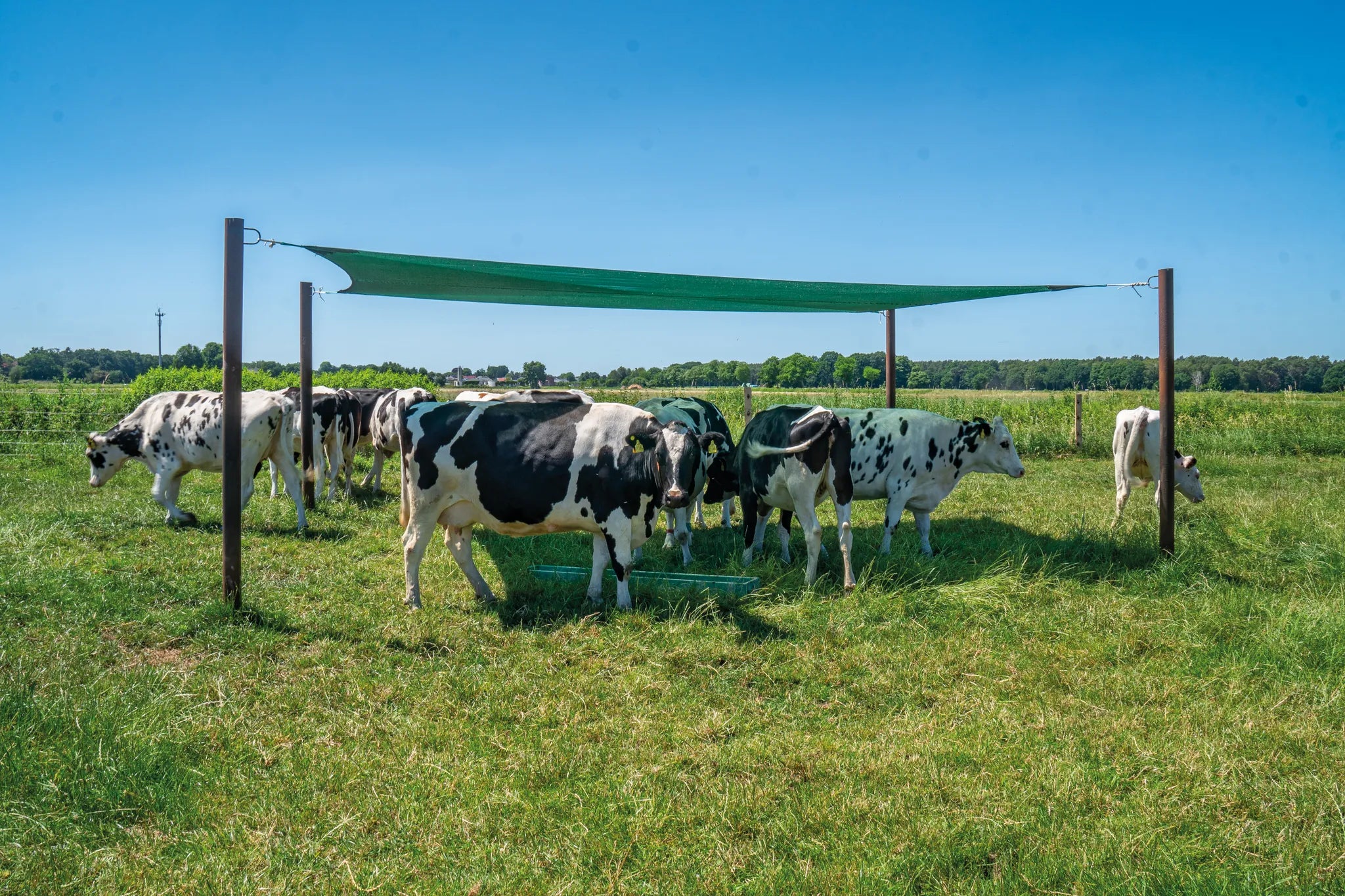 Beschattungsnetz 6,0 x 4,0 m Spezialnetz M75 grün
