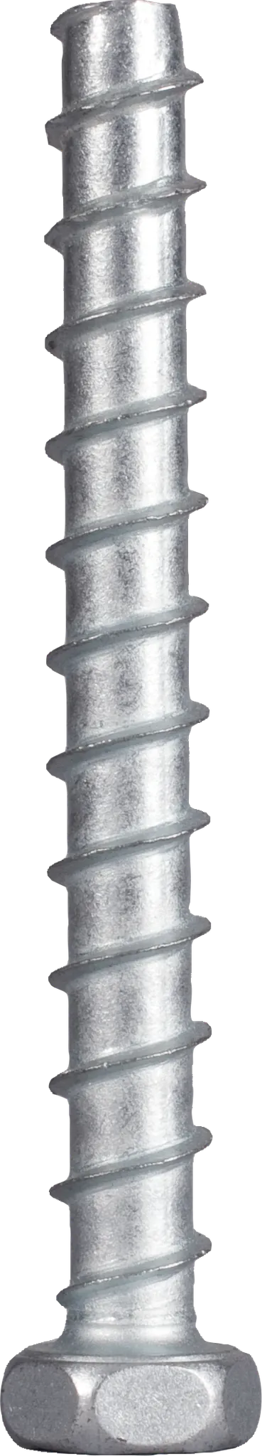 Bolzenanker/Betonschraube M8 x 80 mm Edelstahl