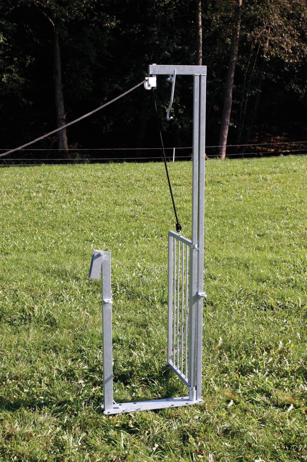 Falltor mit Seilbetätigung, für Schaf Fanganlagen, verzinkt