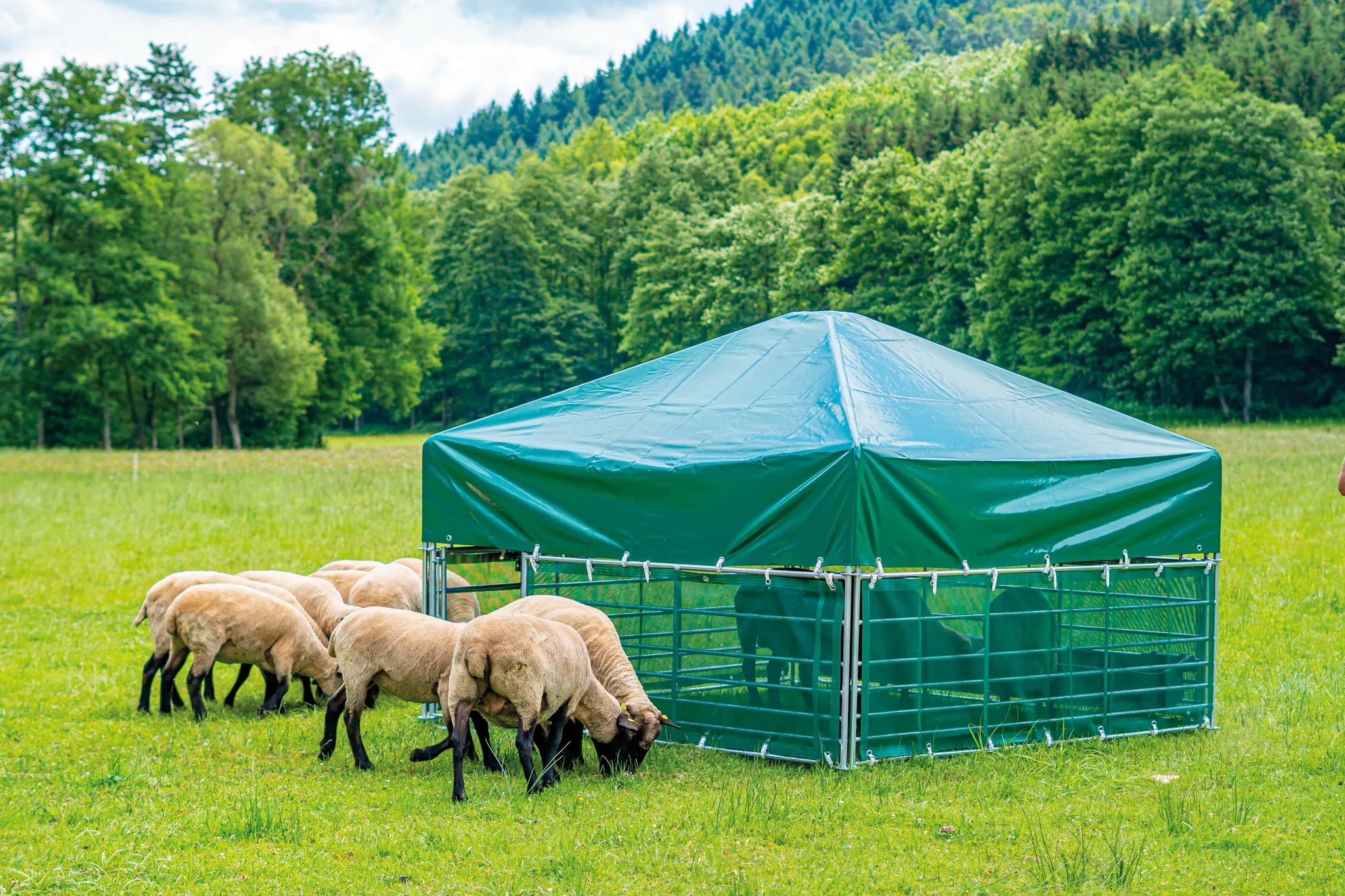 Windschutznetze (4 Netze) für Horden inkl. Schnallriemen