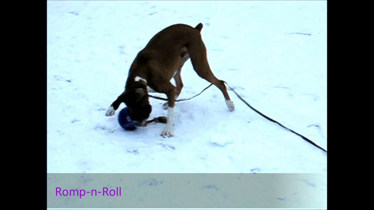 Jolly Pets Hundespielzeug Romp-n-Roll, rot, Ø 15 cm