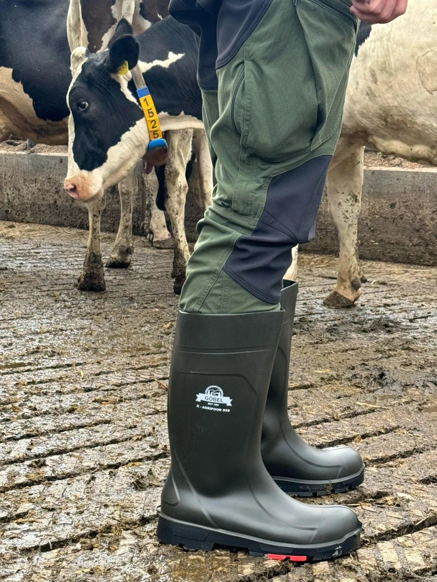 PU Sicherheitsstiefel Gr. 36 X-Agrifood S5 "S"