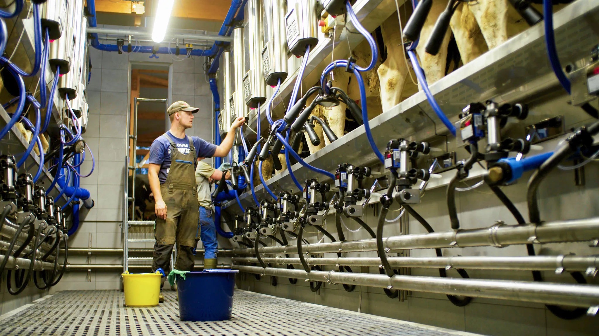 LED-Feuchtraumleuchte Premium-Line 40 Watt