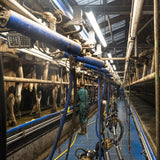 LED Stallleuchte Feuchtraumleuchte 40W 150cm