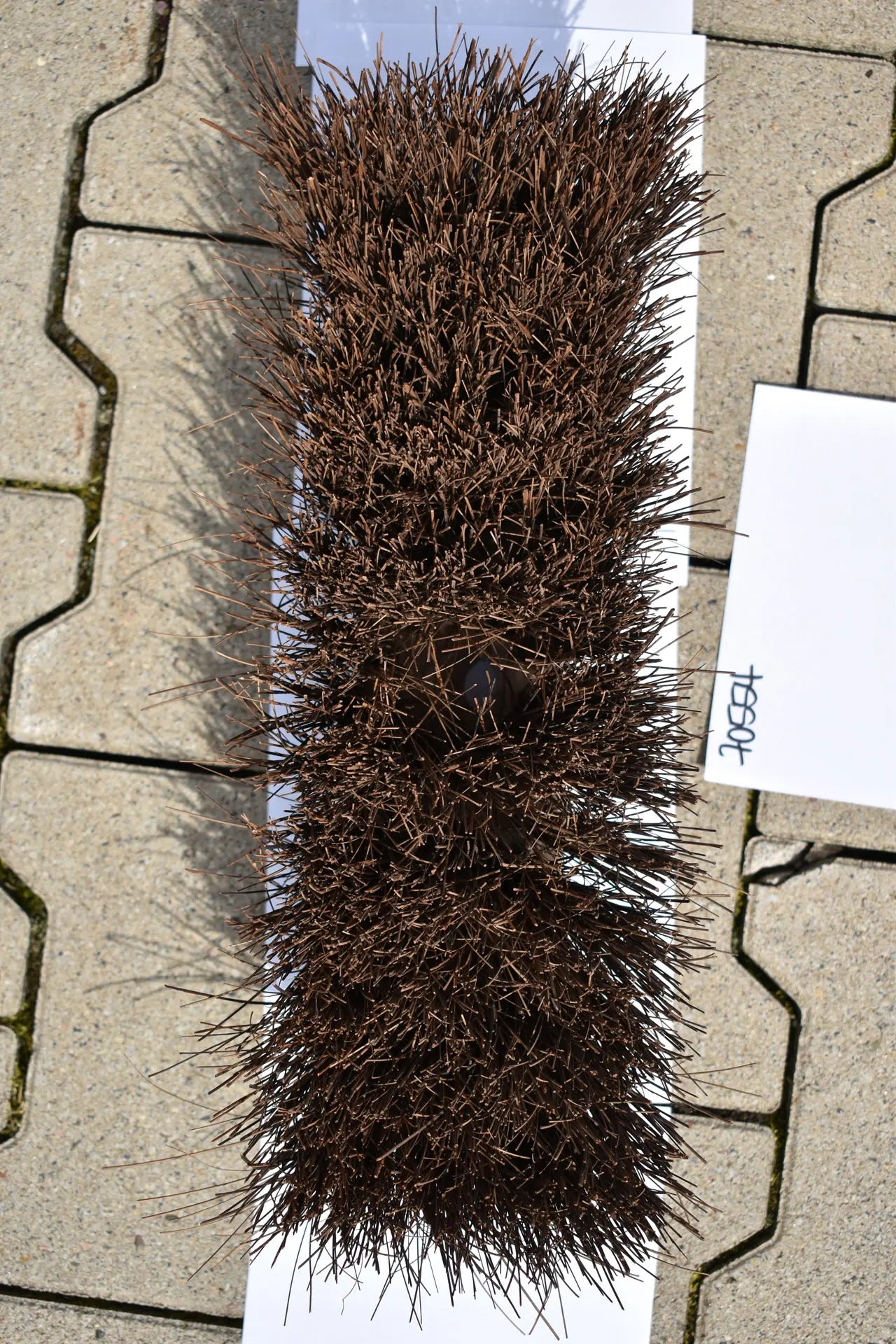 Bahiabesen mit Stielloch 32cm