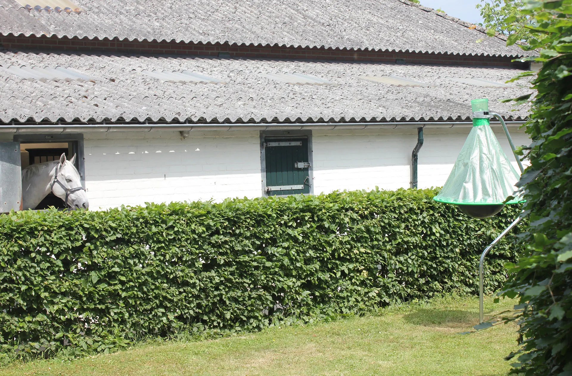 Bremsenfalle H-TRAP
