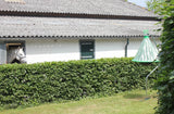 Bremsenfalle H-TRAP