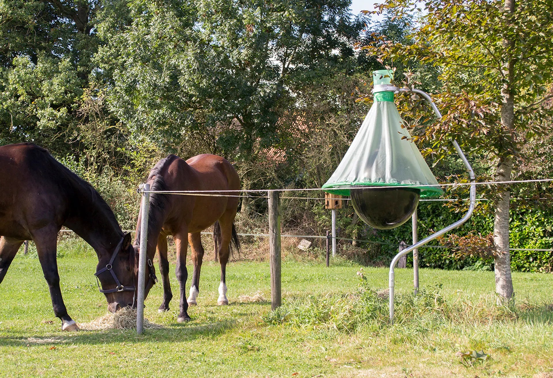 Bremsenfalle H-TRAP
