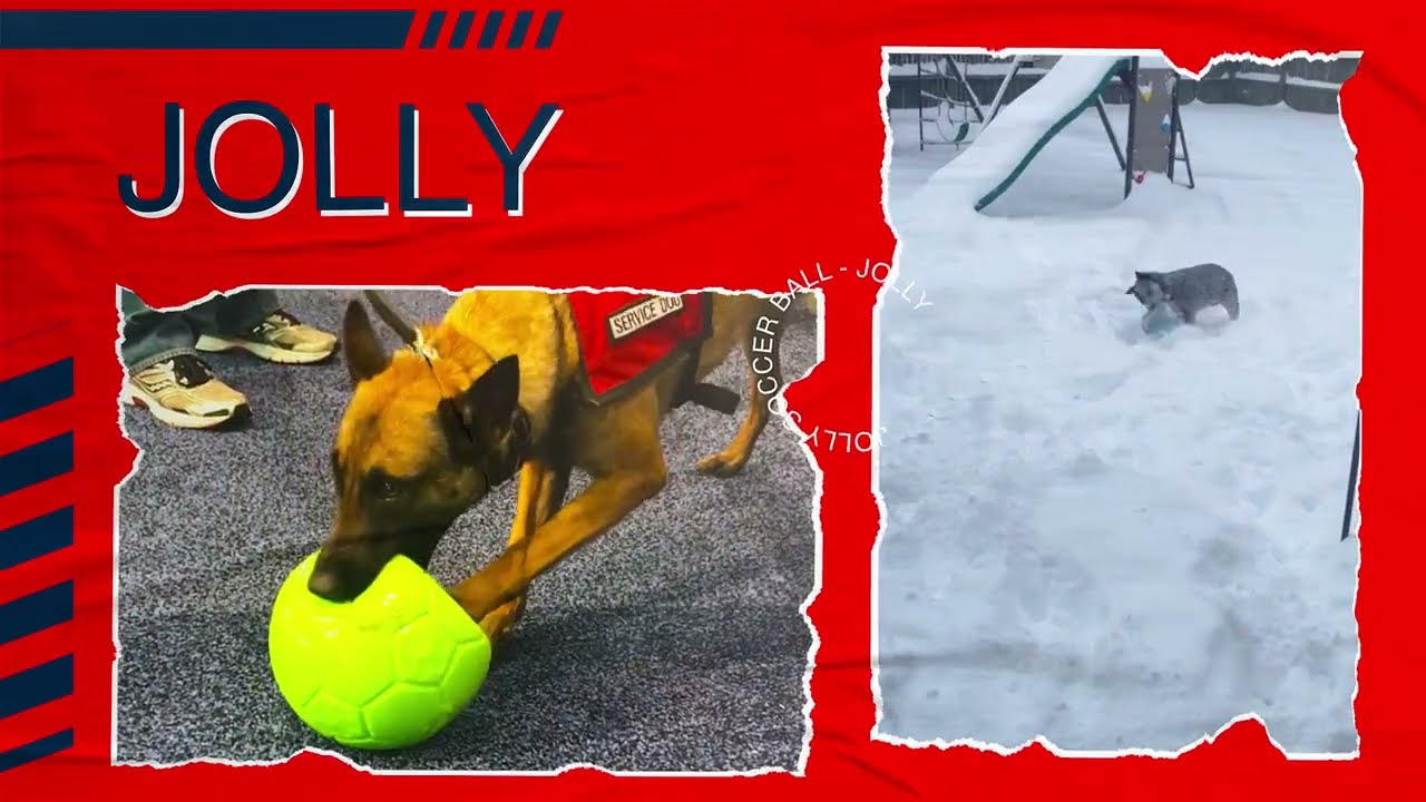 Jolly Pets Hundeball, Grün, Jollyflex, schwimmfähig, Duft Apfel, Ø 15 cm