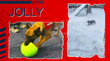 Jolly Pets Hundeball, Soccer Ball, hellblau, Ø 7,5 cm