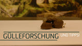 Excellent Horse Herbs Spitzwegerich-Saat für Pferde, 1,2 kg