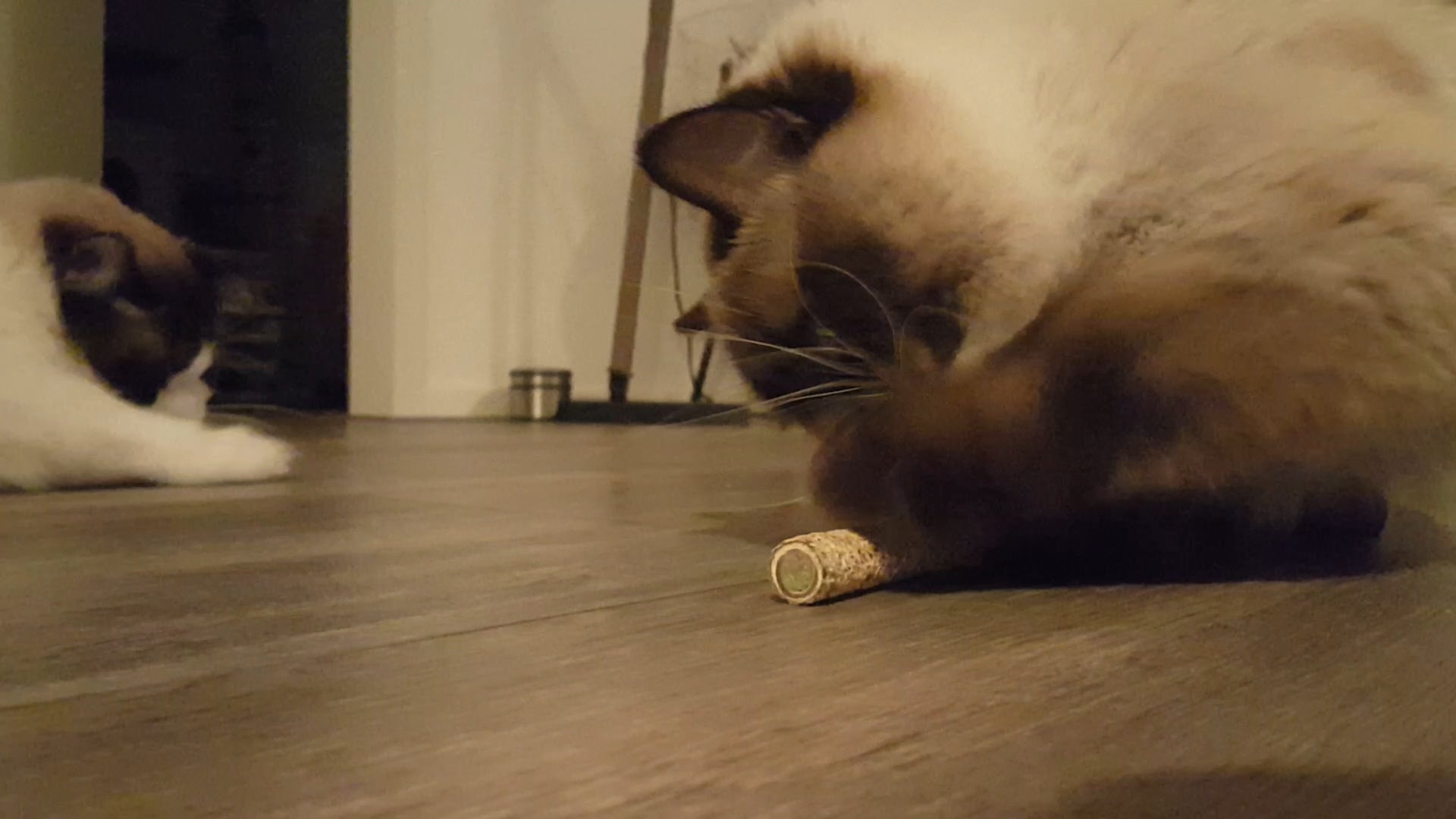 Addicted! Katzenspielzeug-Stick, mit Madnip, 2 Stk