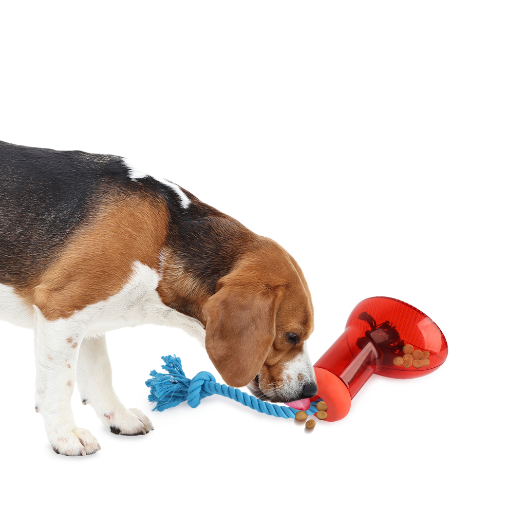 AFP Futterspender für Hunde, Stiefelform, Seil, 14 x 14 cm, Größe L