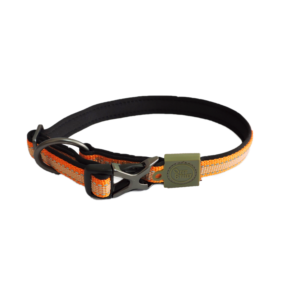 AFP Hundehalsband Off Street, Mandarine, S, 29–45 cm x 1,5 cm