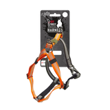 AFP Hundegeschirr, Non-Pull, Off Street, Mandarine, M, 48-60 cm, 2 cm breit