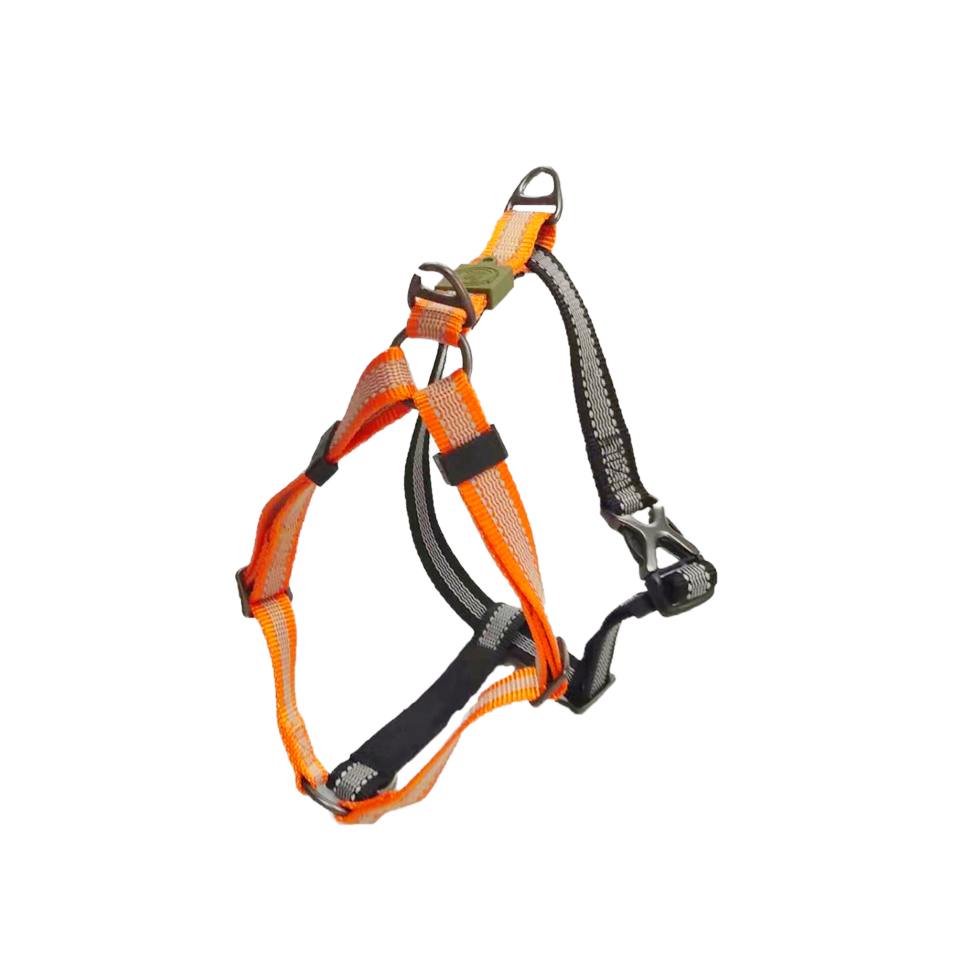 AFP Hundegeschirr, Non-Pull, Off Street, Mandarine, M, 48-60 cm, 2 cm breit
