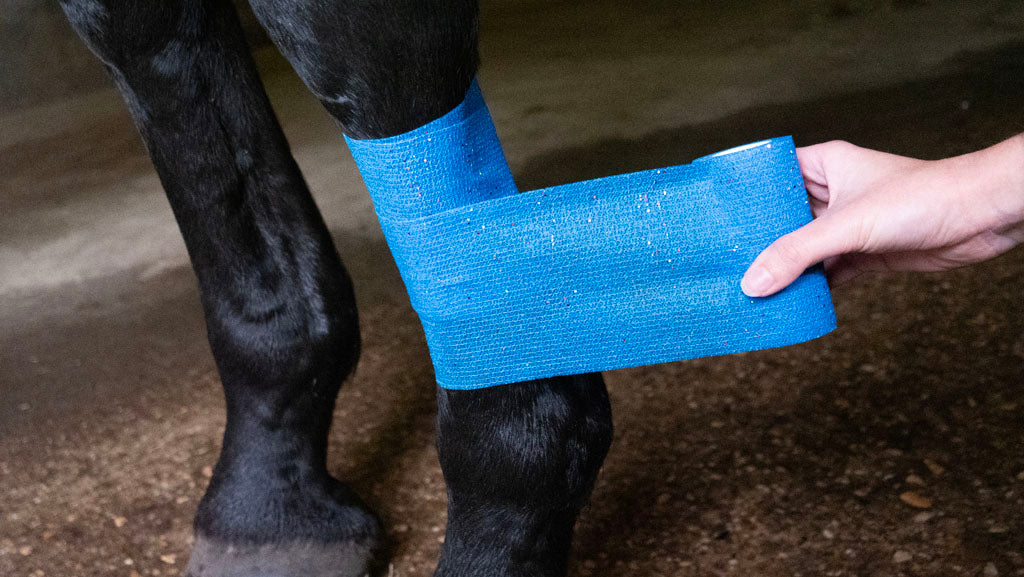 Excellent Animal Glitter Bandage Pro, selbstklebend, elastisch, 10 cm, blau